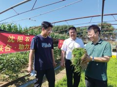 <b>七万学子 四大脚色</b>